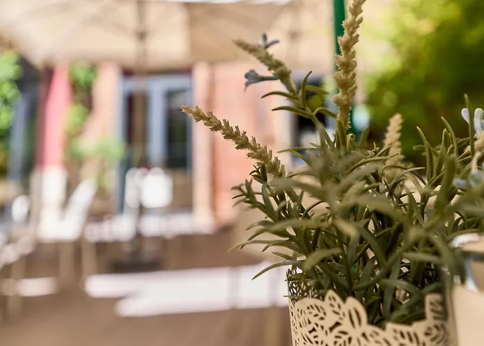 Hostel The Book Factory By Gaiarooms