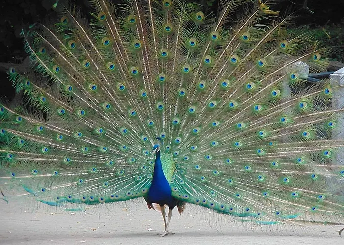 Auberge de jeunesse The Book Factory By Gaiarooms Valladolid